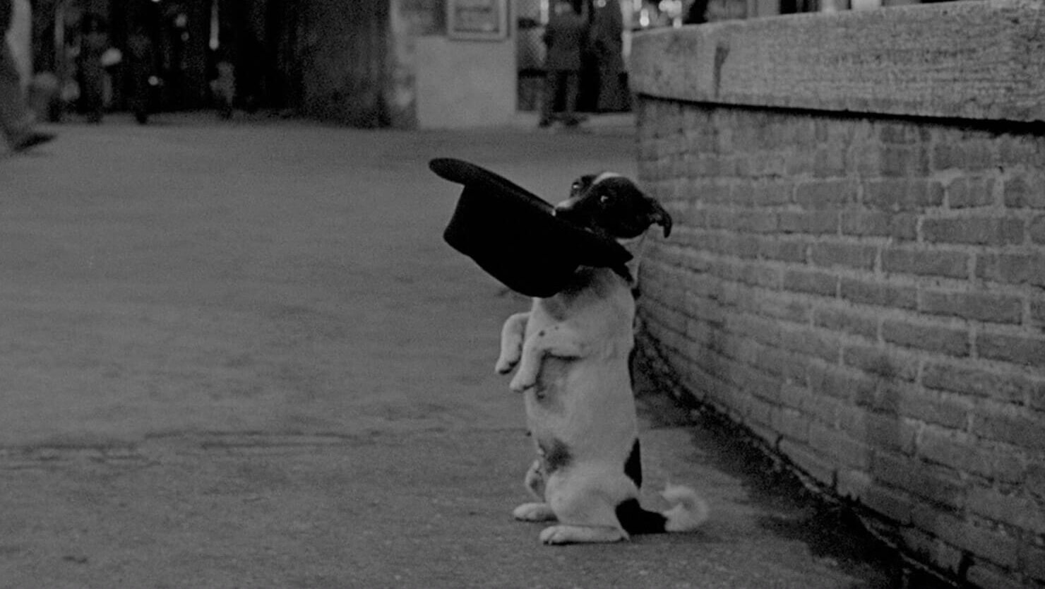umberto d movie still 2