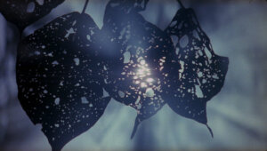 The Thin Red Line movie still 3