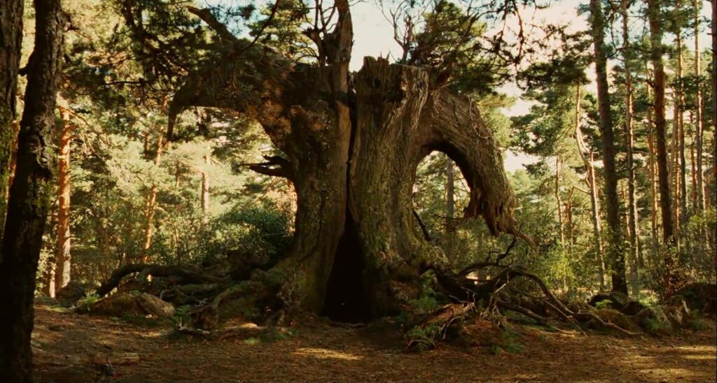 Pan's Labyrinth movie still 4
