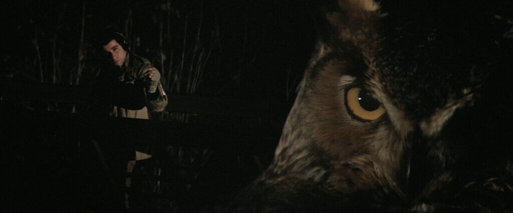 Blow Out movie still 1