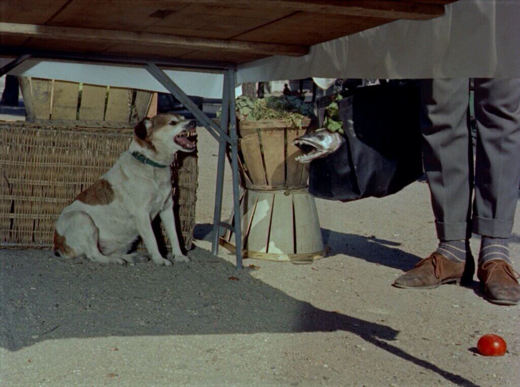 Mon Oncle movie still 5