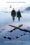 the x-files i want to believe