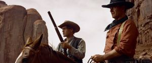 searchers