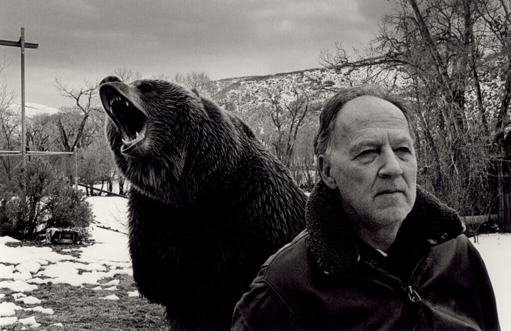 Grizzly Man movie still 2