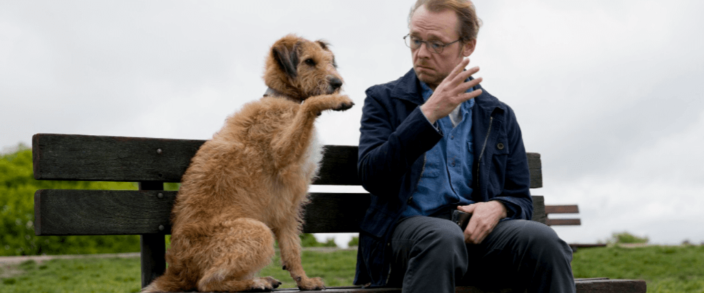 Absolutely Anything (2017) – Deep Focus Review – Movie Reviews, Essays ...