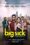 The Big Sick poster