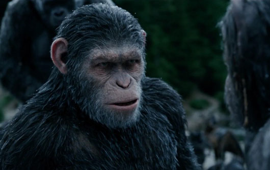 war_for_the_planet_of_the_apes_still-1