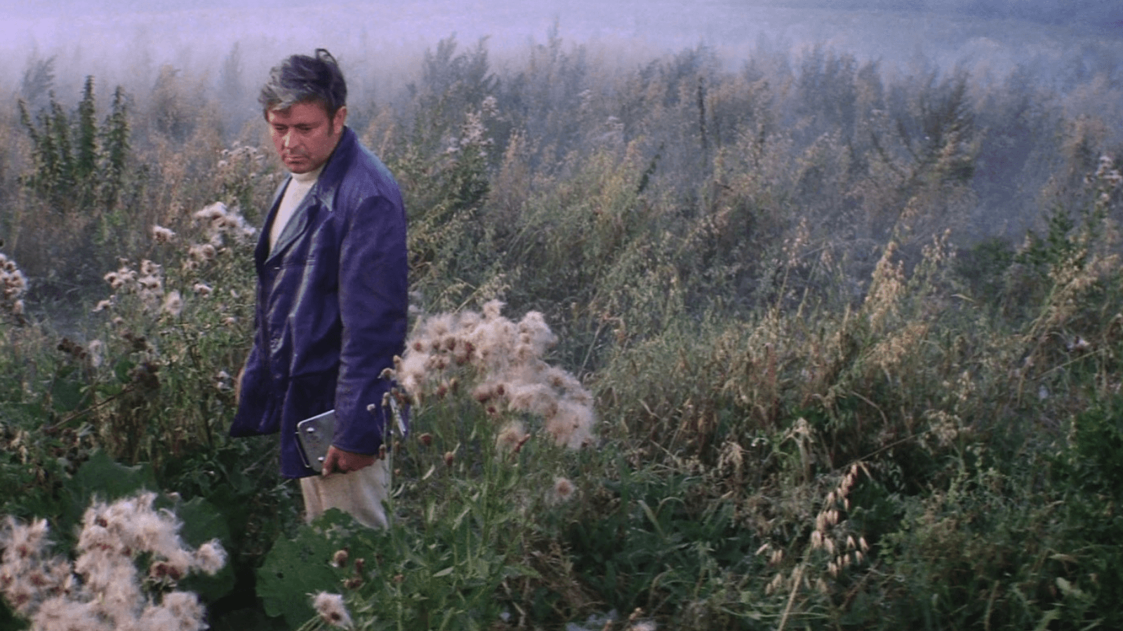 Solaris 1972 still