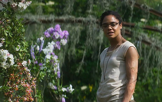 annihilation-still-2