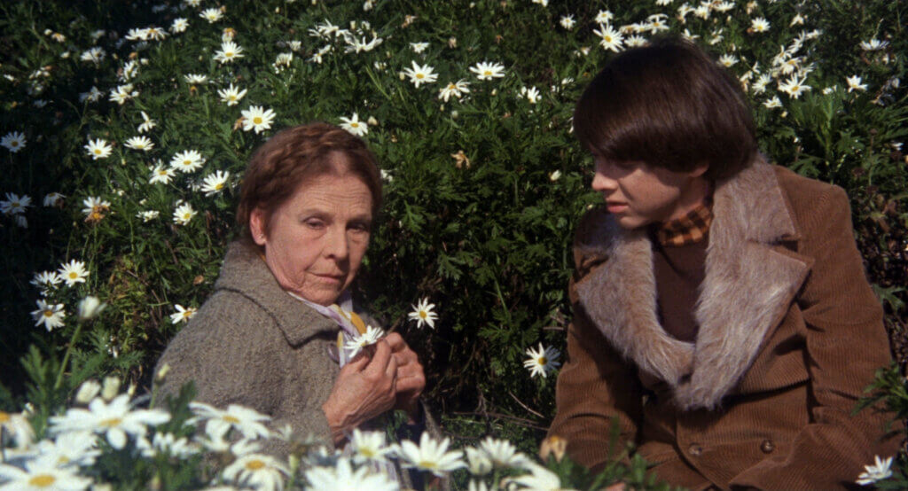 Harold and Maude movie still 2