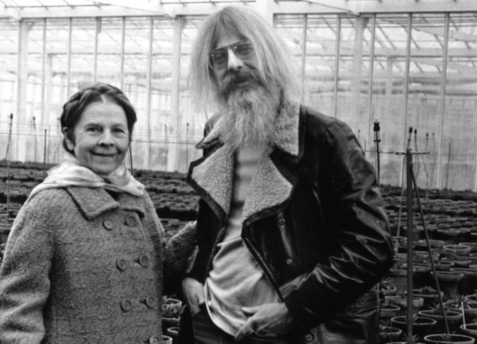 Harold and Maude movie still 6.jpg