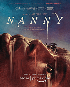 Nanny poster