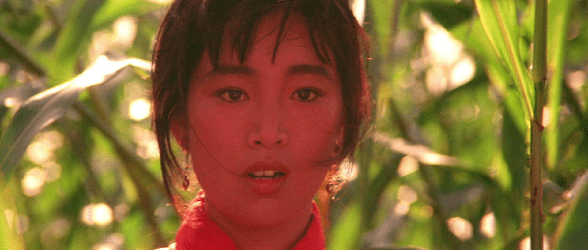 Red Sorghum 1988 movie still 3