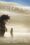 Where the Wild Things Are poster