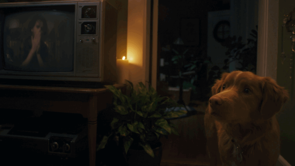 Good Boy movie still 2