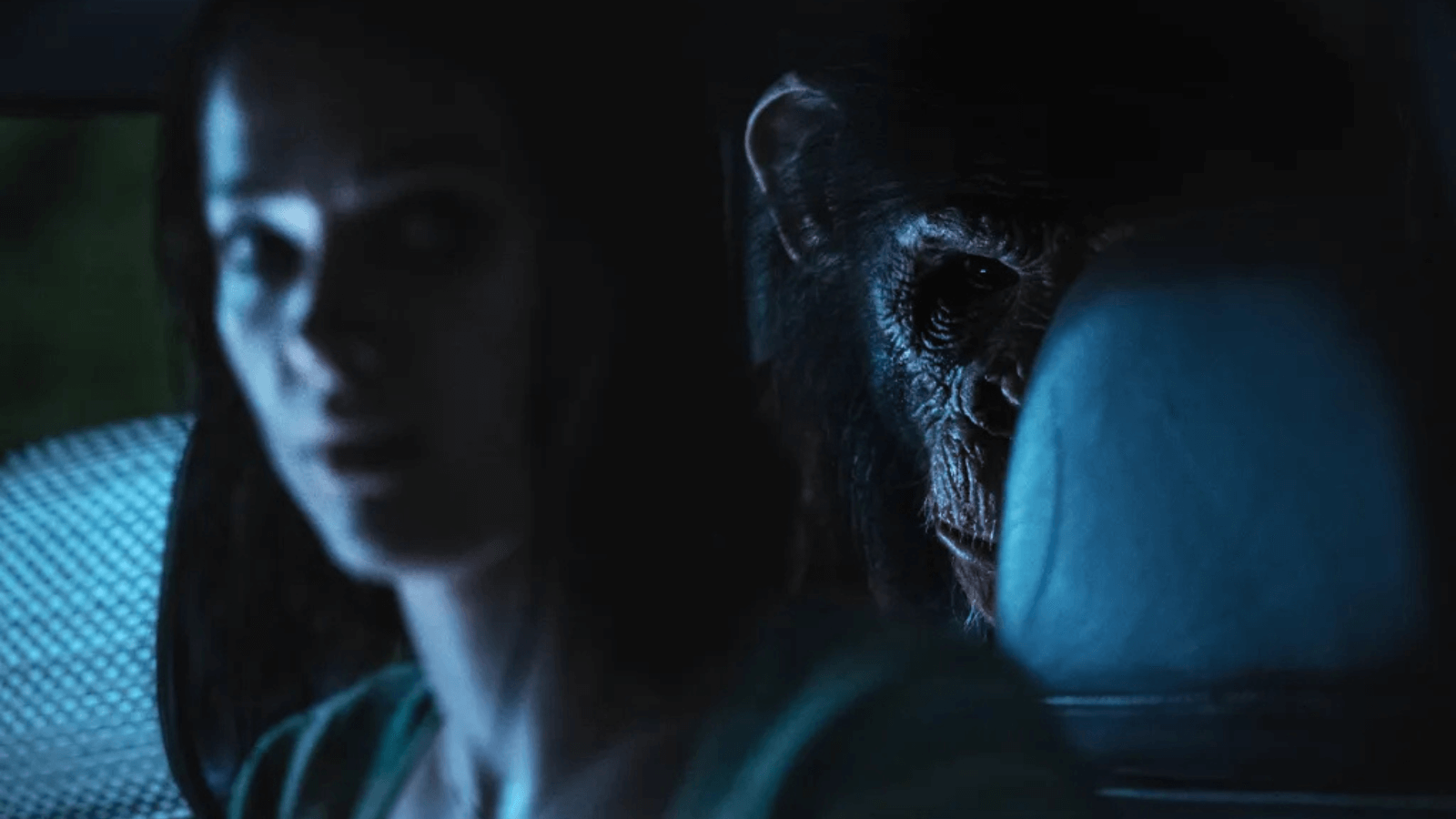 Primate 2026 movie still