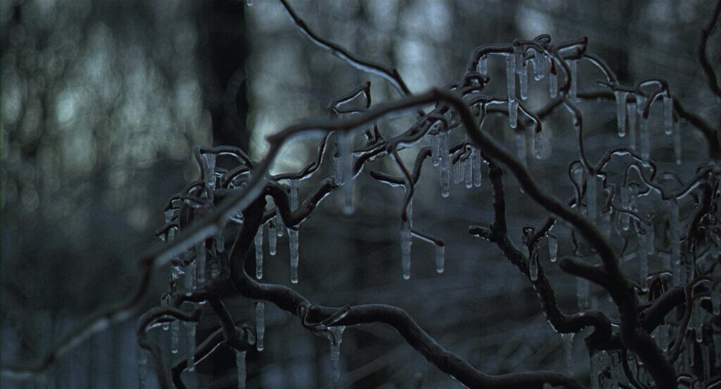 The Ice Storm movie still 7