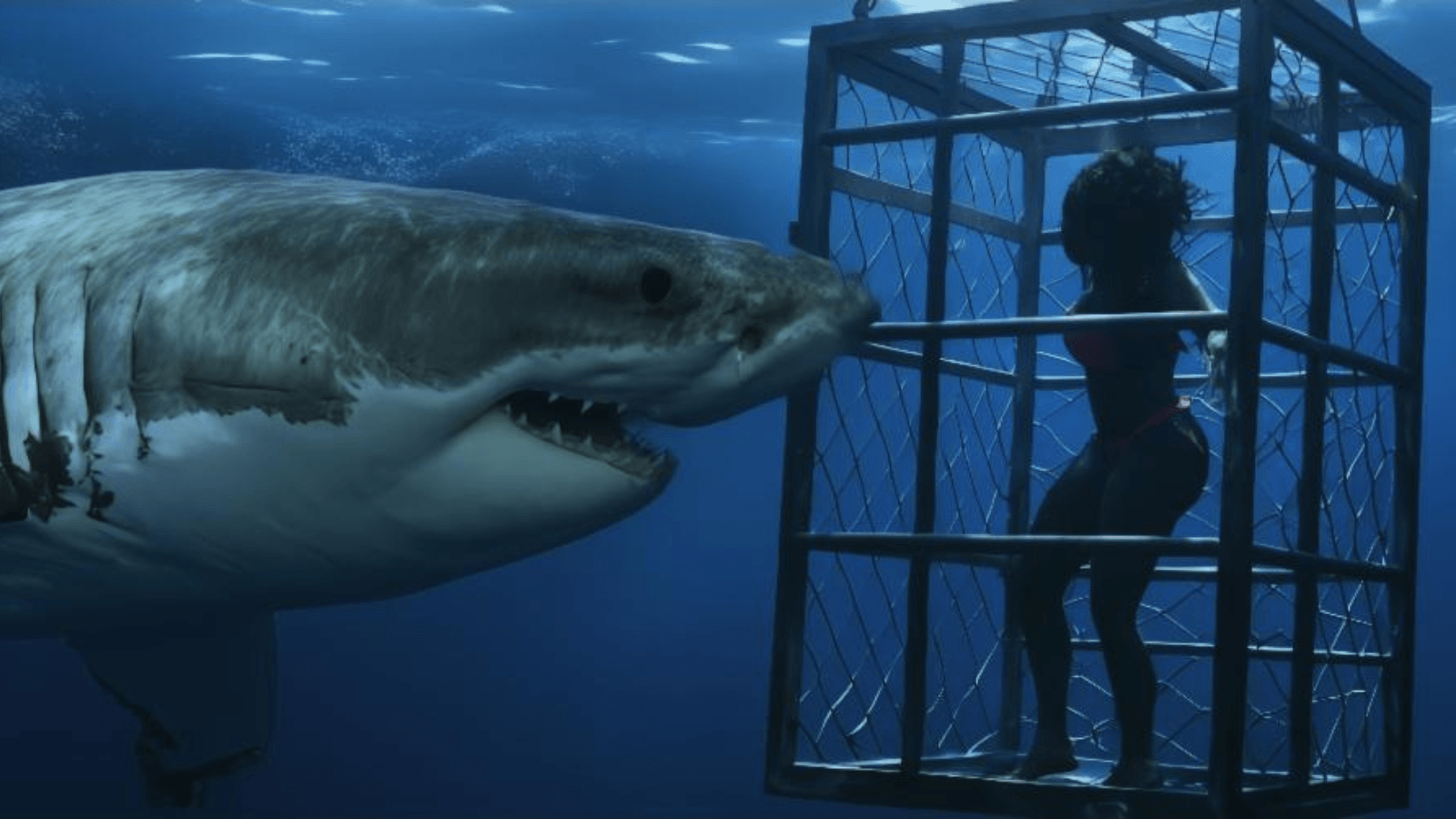Chum movie still 2