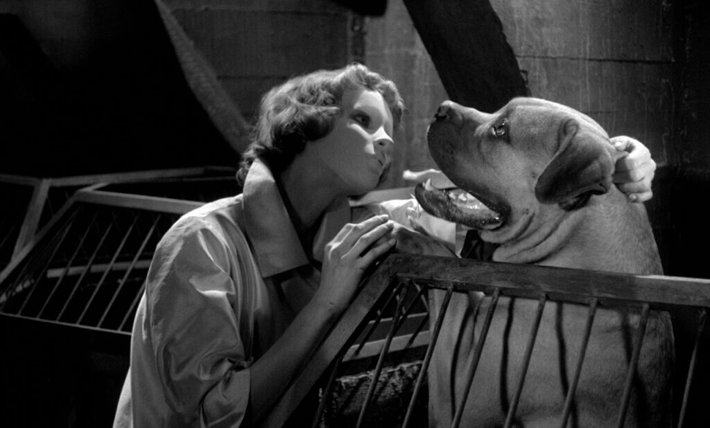 Eyes Without a Face movie still 1