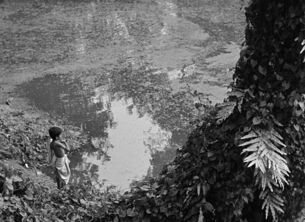 Pather Panchali movie still 8