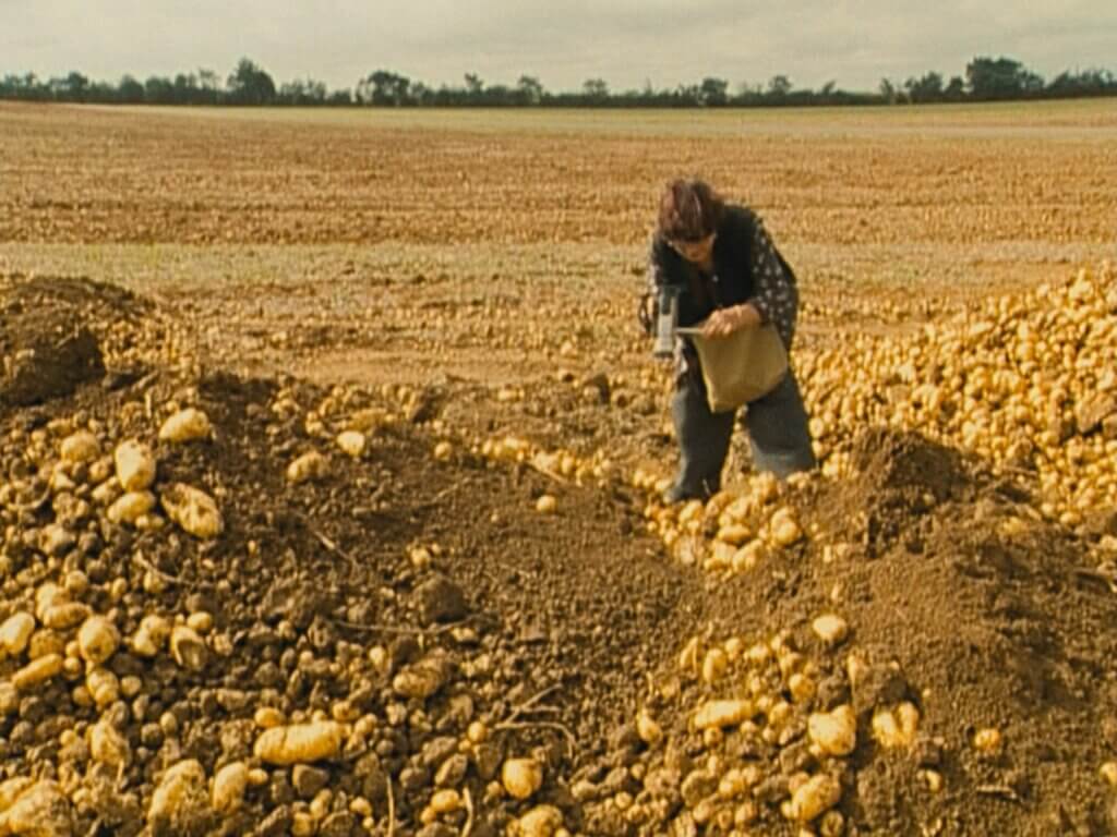 The Gleaners and I movie still 1