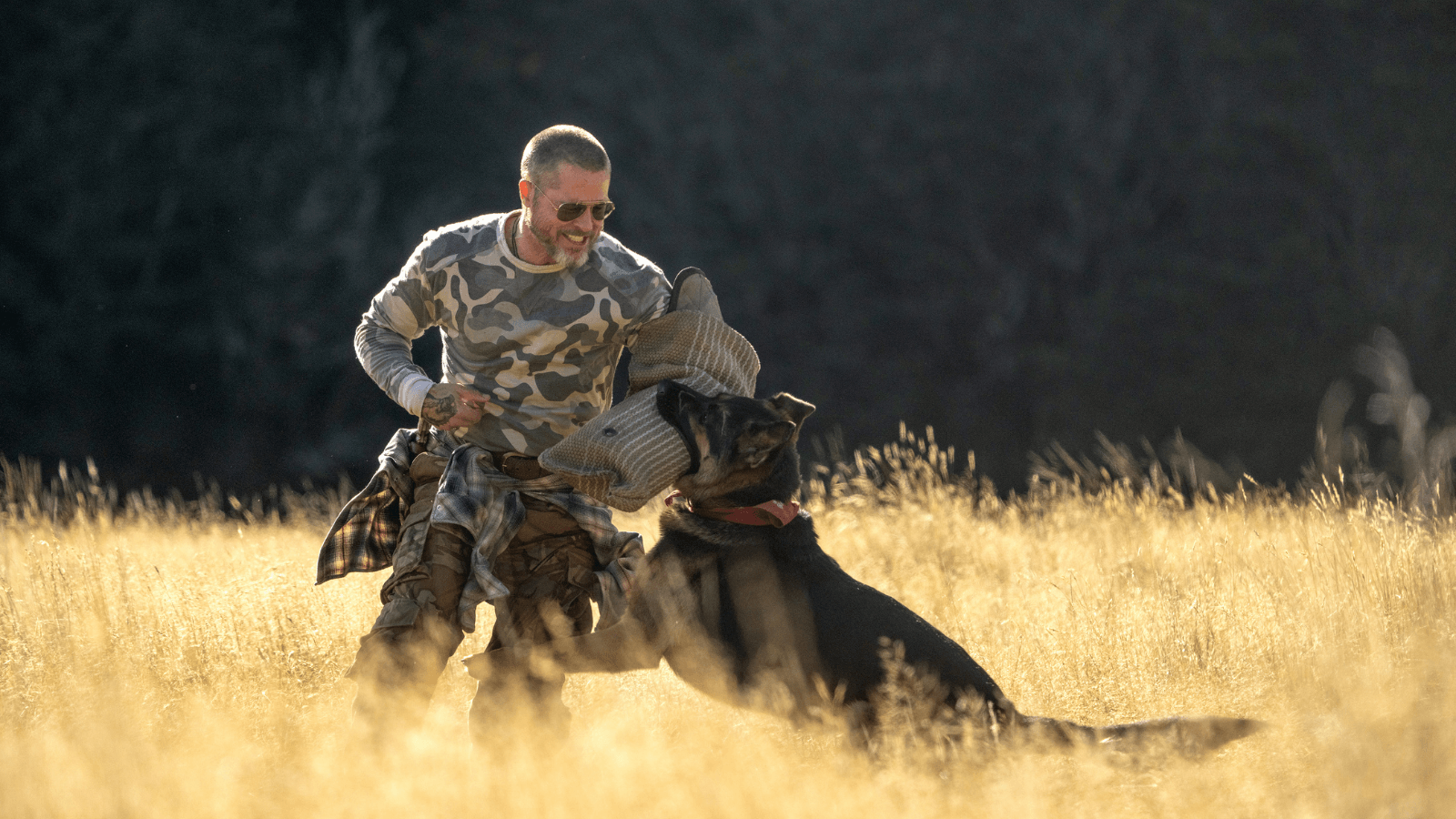 Heart of the Beast movie still